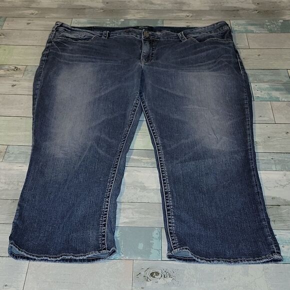 Silver Suki Brand Capris sz 24 - Picture 1 of 7